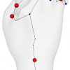 Fast and precise kinematic skeleton extraction of 3D dynamic meshes