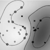 Conditionally Positive Definite Kernels for SVM Based Image Recognition