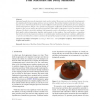Fruit Senescence and Decay Simulation