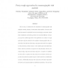 Fuzzy-rough approaches for mammographic risk analysis