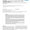 GraphDNA: a Java program for graphical display of DNA composition analyses