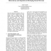 Heterochrony and Adaptation in Developing Neural Networks