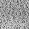 Histogram Model for 3D Textures