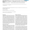 Homology modeling of a voltage-gated potassium channel (human Kv7.1)