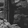 Image Local Contrast Enhancement using Adaptive Non-Linear Filters