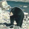Image segmentation using clustering with saddle point detection