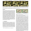 Image warps for artistic perspective manipulation