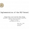 Implementation of the MLP Kernel
