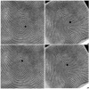 Improved fingercode for filterbank-based fingerprint matching