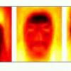 Incremental Linear Discriminant Analysis Using Sufficient Spanning Set Approximations