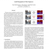 Label propagation in video sequences