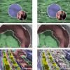 Variational Layered Dynamic Textures