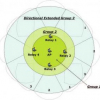 Layered wireless video multicast using directional relays