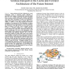 Leveraging MAC-layer information for single-hop wireless transport in the Cache and Forward Architecture of the Future Internet