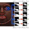 Deformable Model Fitting with a Mixture of Local Experts