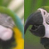 Low-complexity linear demosaicing using joint spatial-chromatic image statistics