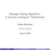 Message passing algorithms: a success looking for theoreticians