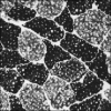 Morphological scale-space analysis and feature extraction