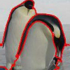 Multiple-instance ranking: Learning to rank images for image retrieval