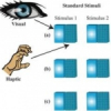 Multisensory Oddity Detection as Bayesian Inference