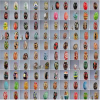 Near-Duplicate Image Recognition and Content-based Image Retrieval using Adaptive Hierarchical Geometric Centroids