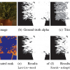 New Appearance Models for Natural Image Matting