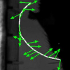 Non-Linear Beam Model for Tracking Large Deformations