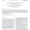 Numerical simulation of stochastic gene circuits