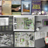 Fast concurrent object localization and recognition