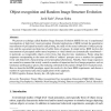 Object recognition and Random Image Structure Evolution