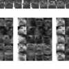 Online Learning of Probabilistic Appearance Manifolds for Video-Based Recognition and Tracking