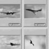 Optimal Adaptive Learning for Image Retrieval