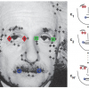 Optimal Feature Selection for Subspace Image Matching
