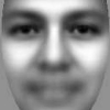 Optimal Gabor kernel location selection for face recognition