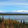 Finding Good Composition in Panoramic Scenes