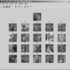 Performance evaluation of Euclidean/correlation-based relevance feedback algorithms in content-based image retrieval systems