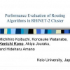 Performance Evaluation of Routing Algorithms in RHiNET-2 Cluster