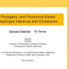 Phylogeny- and Parsimony-Based Haplotype Inference with Constraints