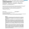 Phylophenetic properties of metabolic pathway topologies as revealed by global analysis