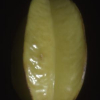 Polarization and Phase-Shifting for 3D Scanning of Translucent Objects
