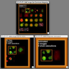 Quasi-hierarchical, interactive navigation of images and meta-data in the Open Microscopy Environment