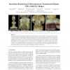 Real-time Rendering of Heterogeneous Translucent Objects with Arbitrary Shapes
