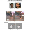 Real-time tracking of image regions with changes in geometry and illumination