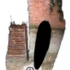 Reconstructing 3D Independent Motions Using Non-Accidentalness