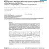 Reconstructing phylogenies from noisy quartets in polynomial time with a high success probability