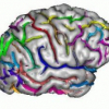 Relational Graph Labelling Using Learning Techniques and Markov Random Fields