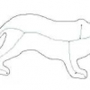 Robust and Efficient Skeletal Graphs