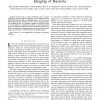 Segmentation and Track-Analysis in Time-Lapse Imaging of Bacteria