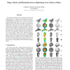 Shape, albedo, and illumination from a single image of an unknown object