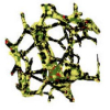 Shape description of three-dimensional images based on medial axis